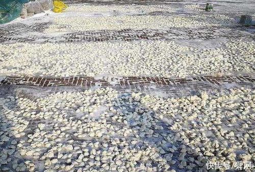  发现|女子去东北作客，发现满大街的饺子，真是太壕了