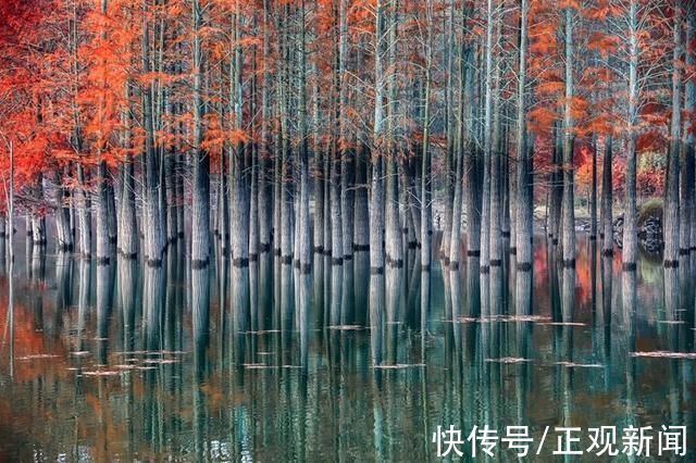 新昌大佛龙井|寻梦浙江