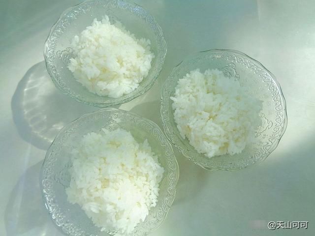 看我家下雨天午餐吃的啥?白菜粉条炖肉,好吃又暖和