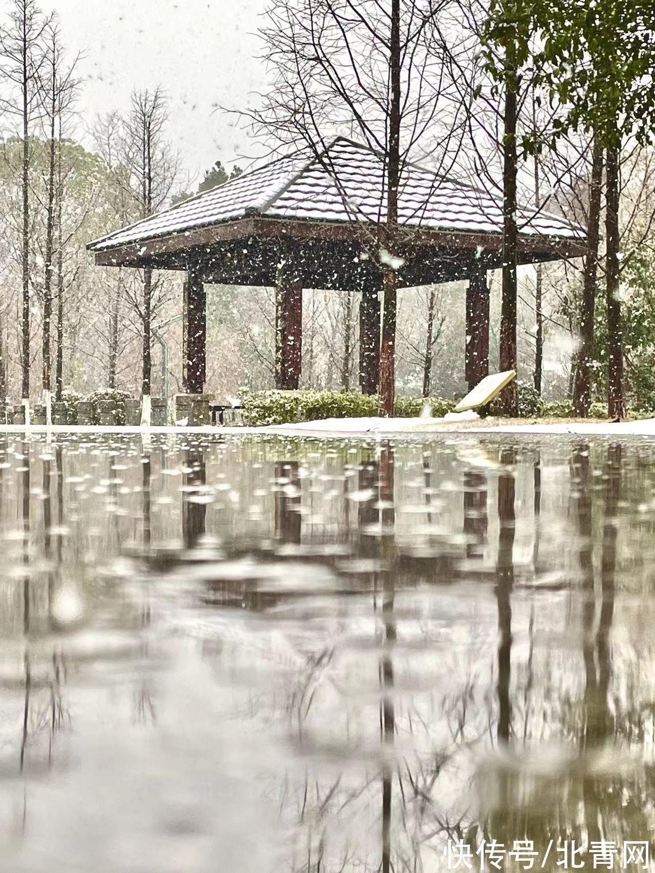 屏保$宁乡油画般的雪景美图 每一幅都能做手机屏保