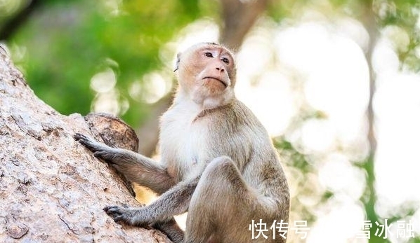 日子|7月20号，好运来袭，诸事大吉，日子只甜不苦的3属相