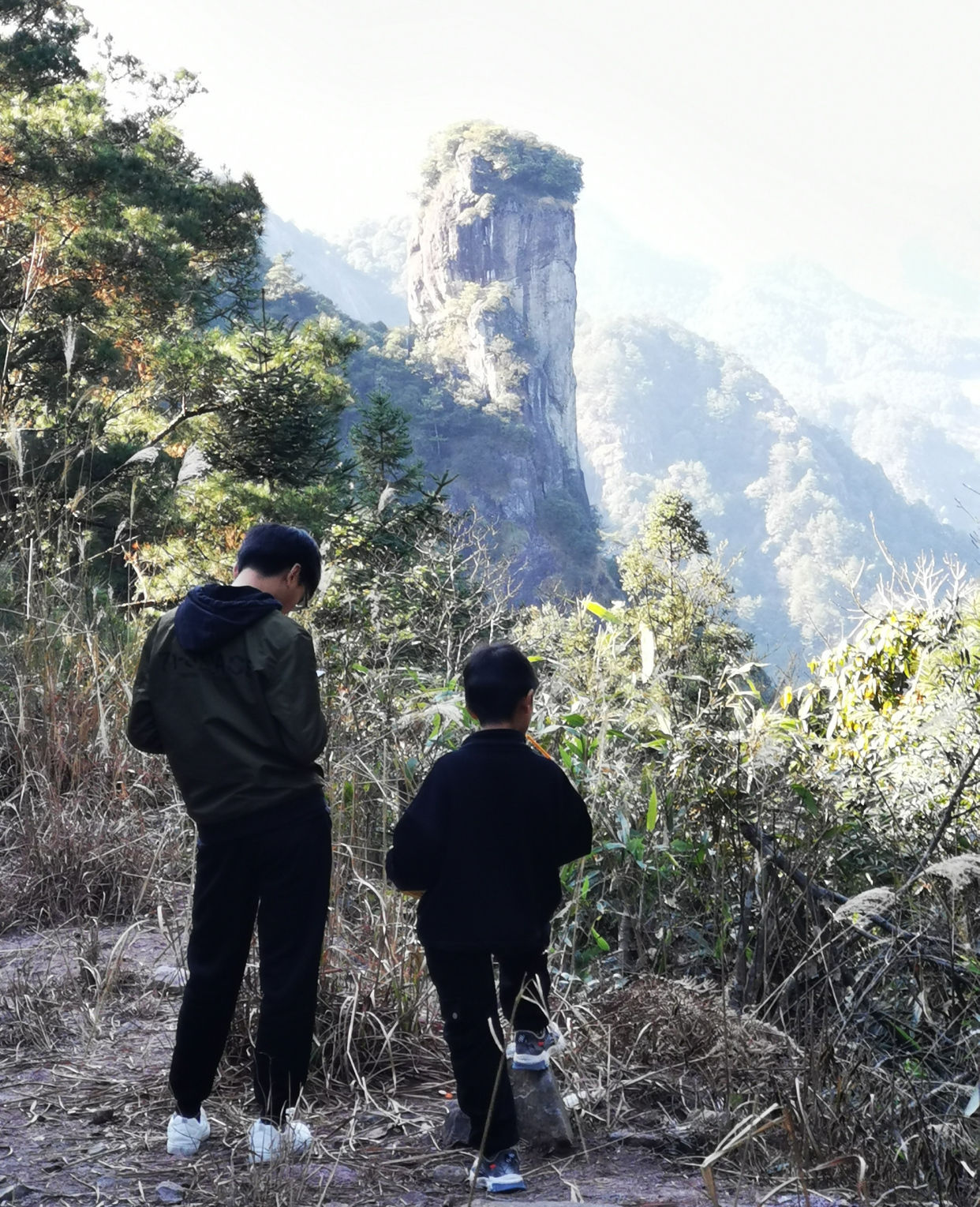 福建深山发现巨大蘑菇石，每天几千人爬山来看，到底长什么样？