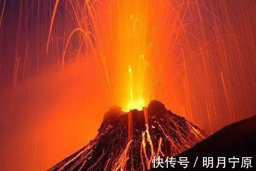 佛陀|19个你不知道的冷知识，你可能一个也不知道，熊猫竟比老鼠还小