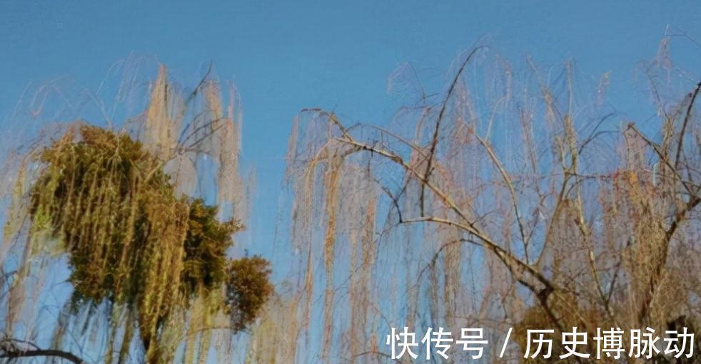 亡妻!纳兰词的压卷之作,字字写景句句含情,值得一读