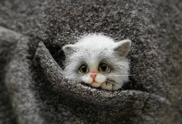 艺术家@逼真到极致的毛毡作品,毛茸茸的小动物,把心都融化了