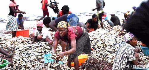 非洲人拿龙虾当小吃,连吃3份后,扔下100元就走,却被老板叫住!