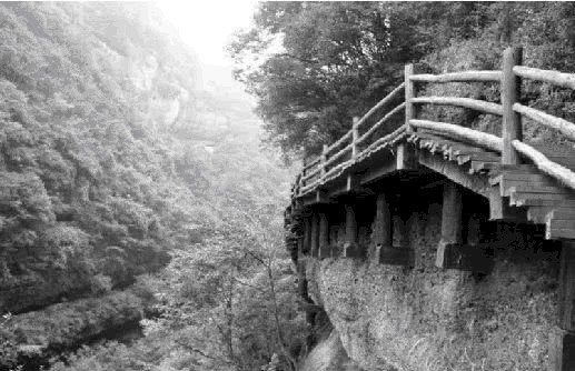 天京事变|我们每天都在“暗渡陈仓”