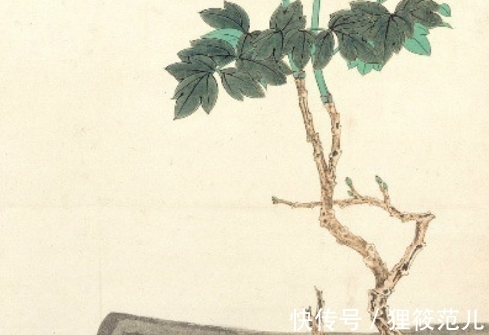 绘画$估价8000万的张大千《佛头牡丹》,2朵花凭什么可以这么贵?