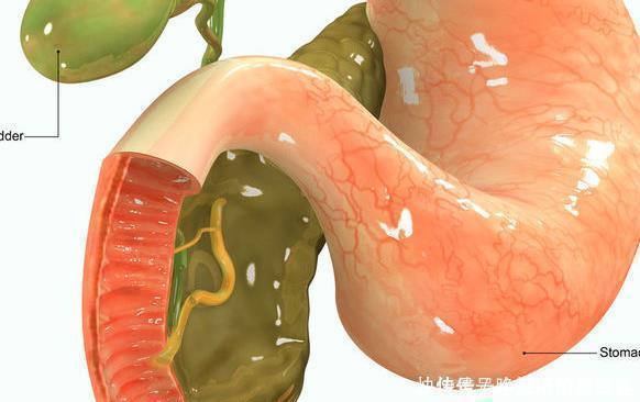 胆汁|花生虽是长寿果,但也是催命符4种人越吃越伤身你能吃吗