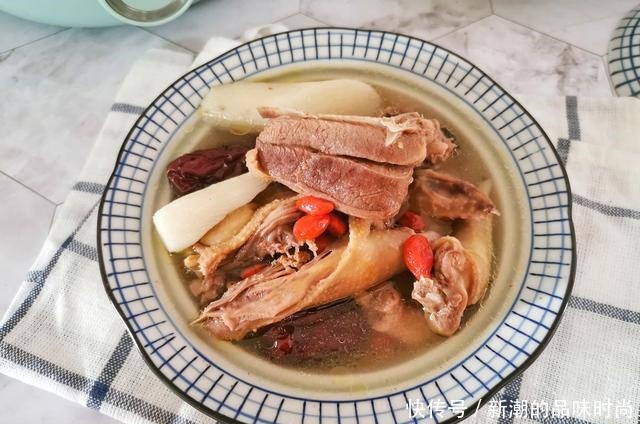 养生锅|一鸽胜九鸡,天冷多喝鸽子汤,这样炖汤鲜美味无腥味,营养滋补