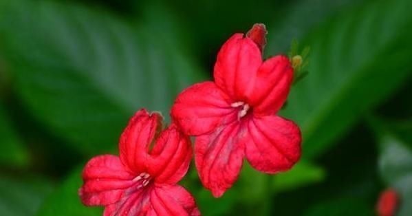 学习习惯|孩子以后能否成大器,和成绩无关,这3句话点醒无数父母