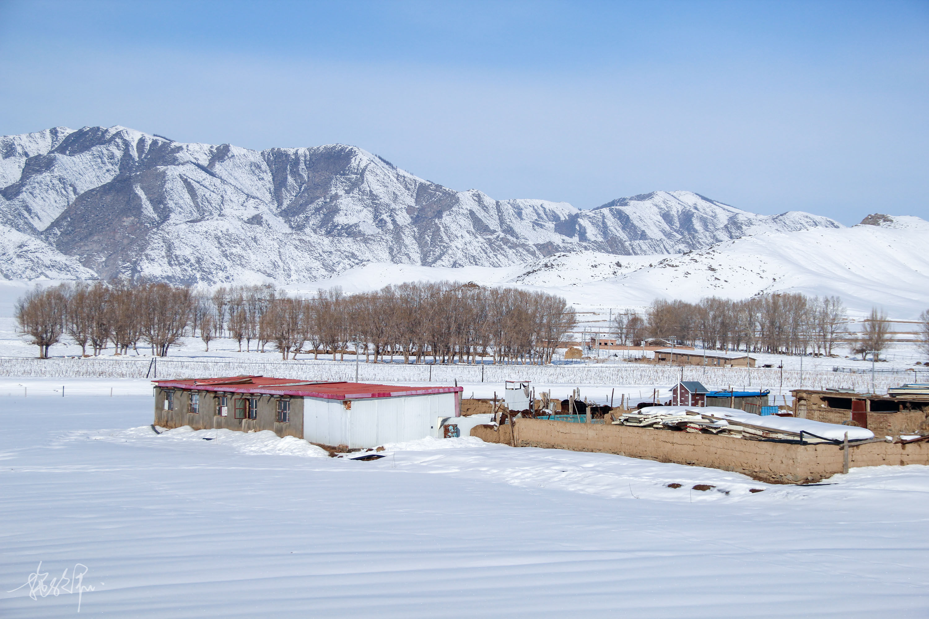 自驾新疆23天：北疆冰雪童话世界（上）