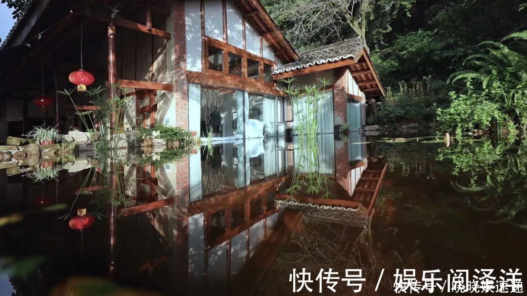 在乡下改造一个小院,种菜养花天天都是乡村田园梦,生活如此惬意