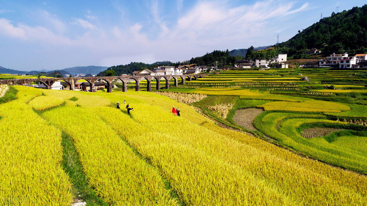 必要项|满足这5个条件,土地流转合同的签订才算是有效