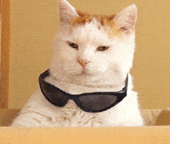 部位|很多人全身防晒，却漏掉了这个部位，后果多严重你知道吗？