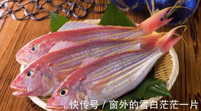 巴浪鱼|这四种常见但却不常听,便宜又好吃的海鱼,你有吃过吗