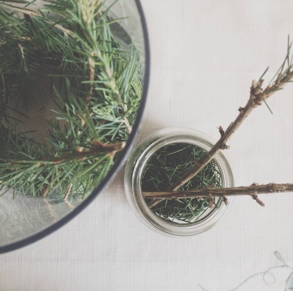 养君子兰,花盆里埋上两种东西,不花钱肥效好,花开艳丽