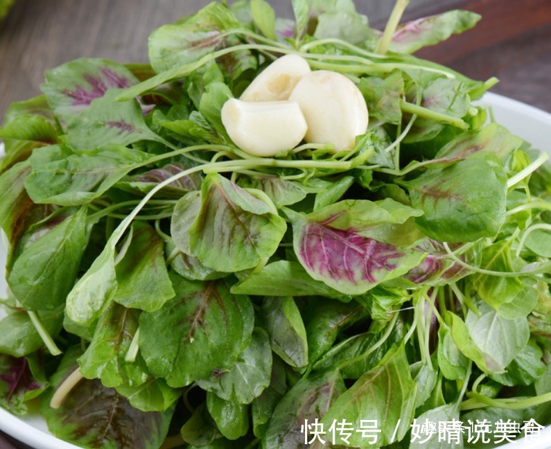 反季|苋菜减肥排毒，营养丰富，掌握三点，种出优质美味反季节苋菜来！