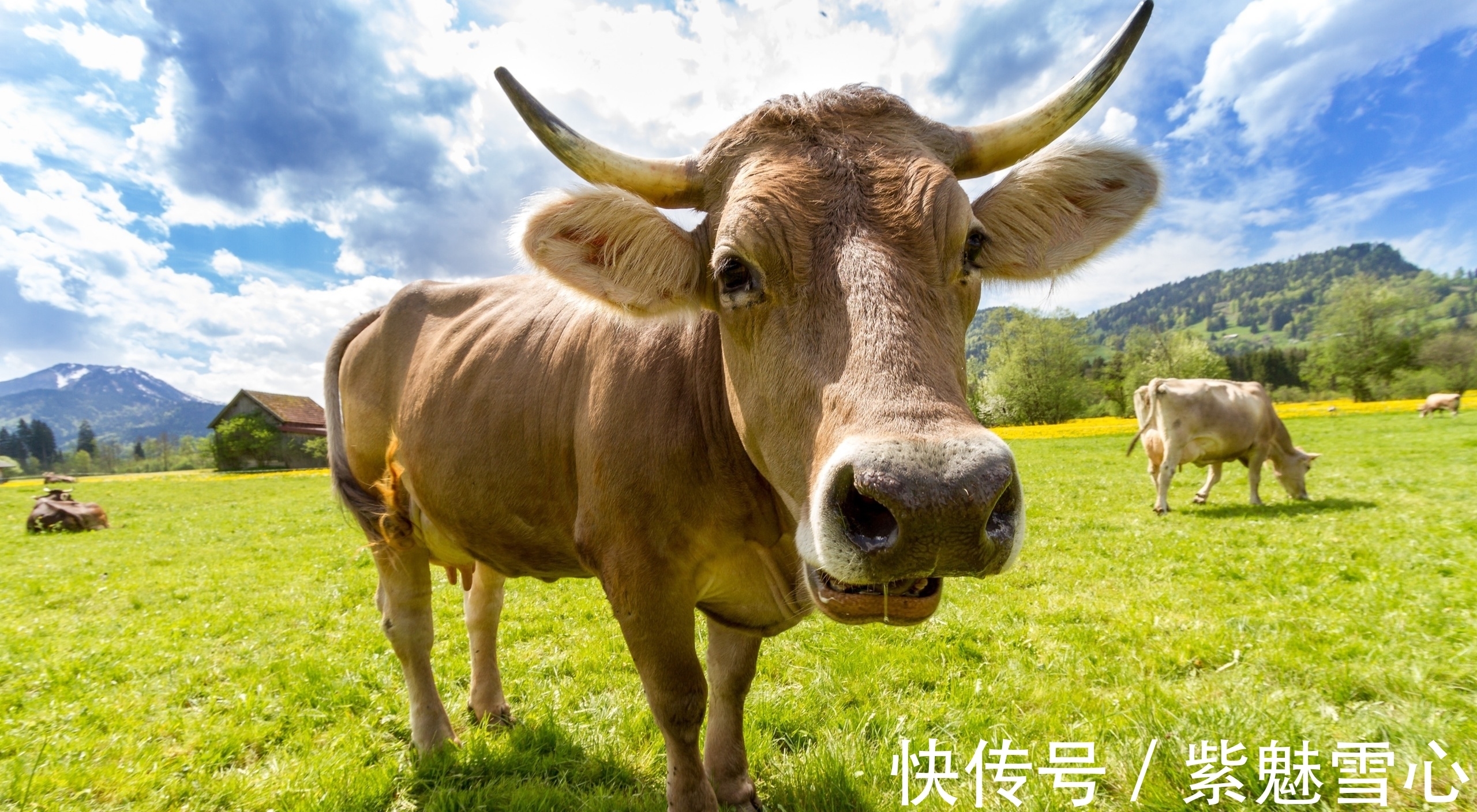 基因|任正非的“干儿子”,华为“叛将”李一男为何不趁机反击?