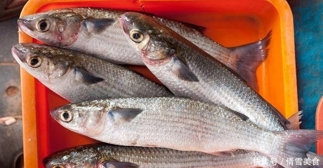 地下水|同样都是鱼,河鱼和海鱼都可以吃,为啥井鱼不可以吃大有学问