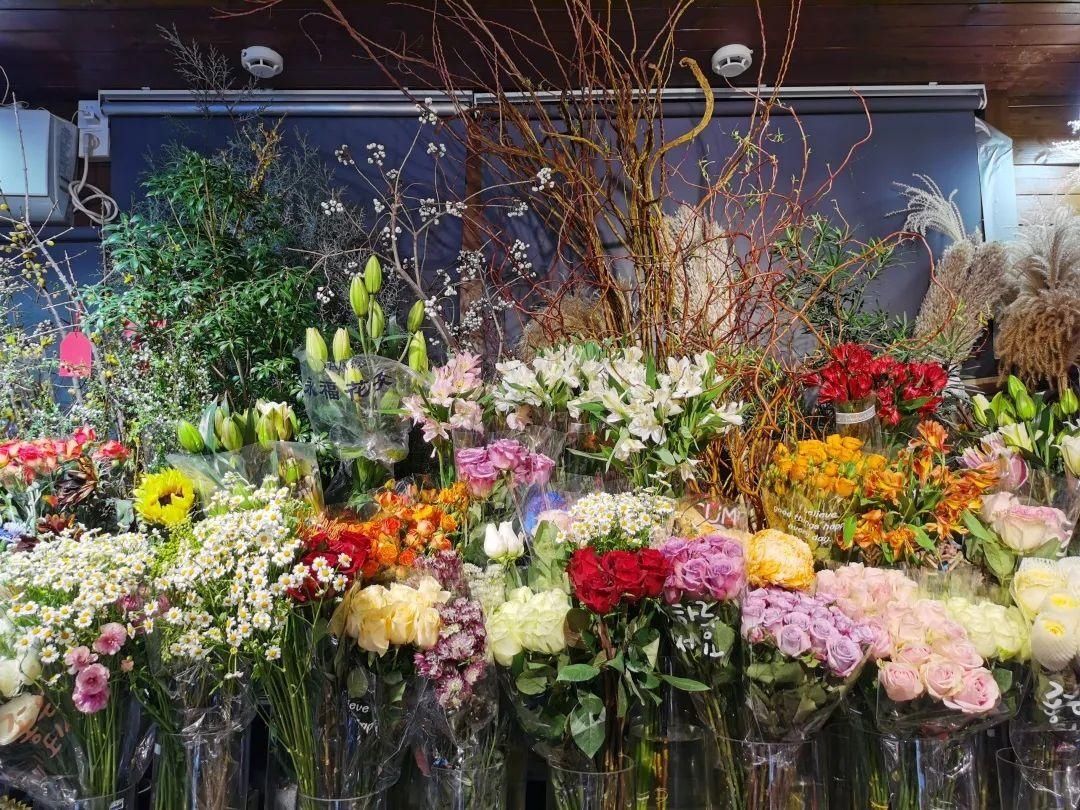 花市散发浓浓年味，这家店天天上新“应景”花！