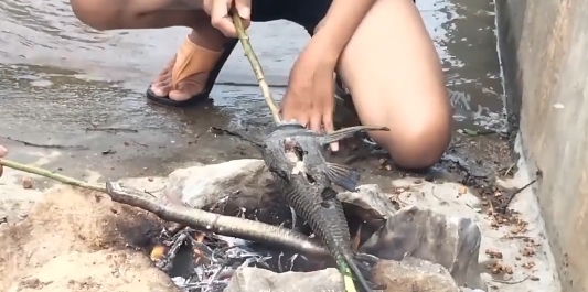  下水|兄妹下水捕鱼，竟然有意外收获，可以美餐一顿了