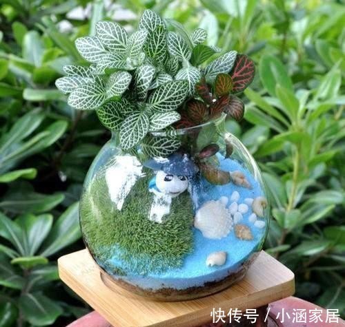 瓶景|过年大火的瓶景自己做,一瓶就是一个景观,小小一个真有趣