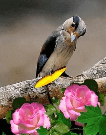 人心$良言20句,见证人心,看透人性看一次胜读十年书