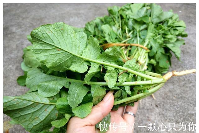 种植|农村8种含钙量高的蔬菜，多种多吃能补钙，营养价值高，记得收藏