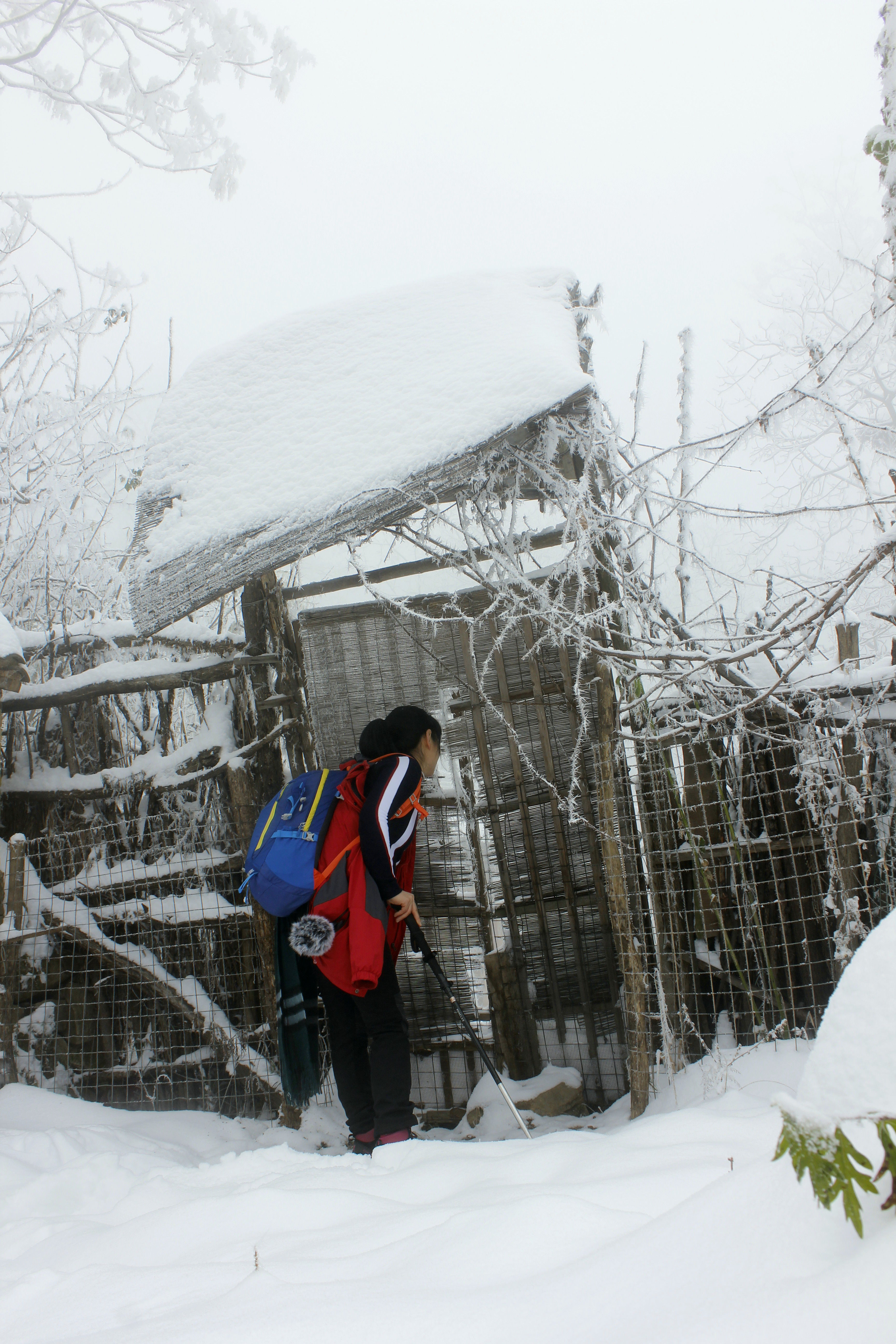 征集|【年末福利征集】雪后南五台幸遇云海