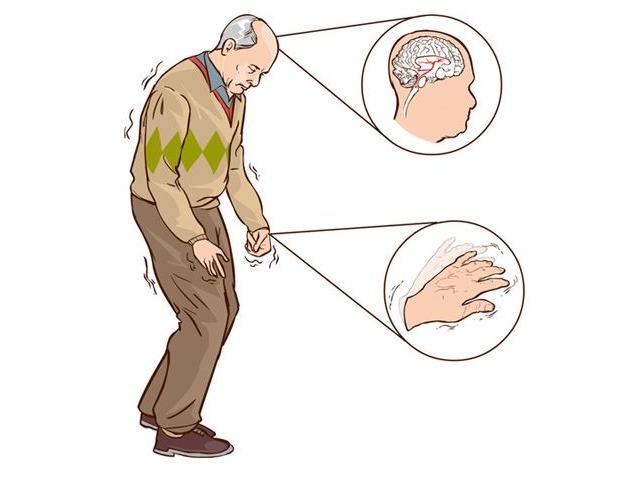 味甘|华佗神方桑叶配黑芝麻这个神奇组合,让老年人全身大补