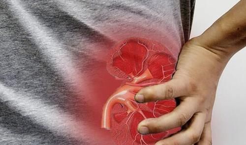 尿液|肾功能强的男人，早晨起床会有哪些表现？若你都有，那就恭喜了