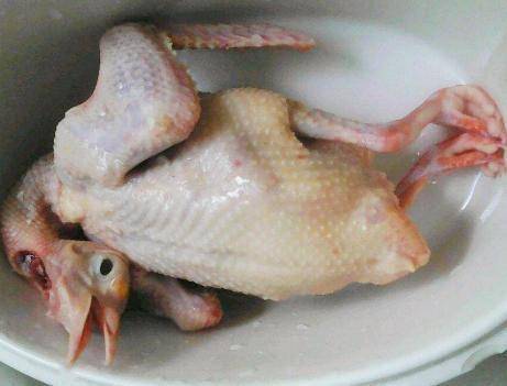 将其|一鸽胜九鸡,夏天比吃猪肉鸡肉好,汤鲜肉香,隔三差五吃特滋补