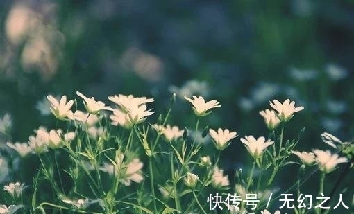 生肖猴|下周结束，于心不甘，邂逅真爱，再次相依，旧情复燃