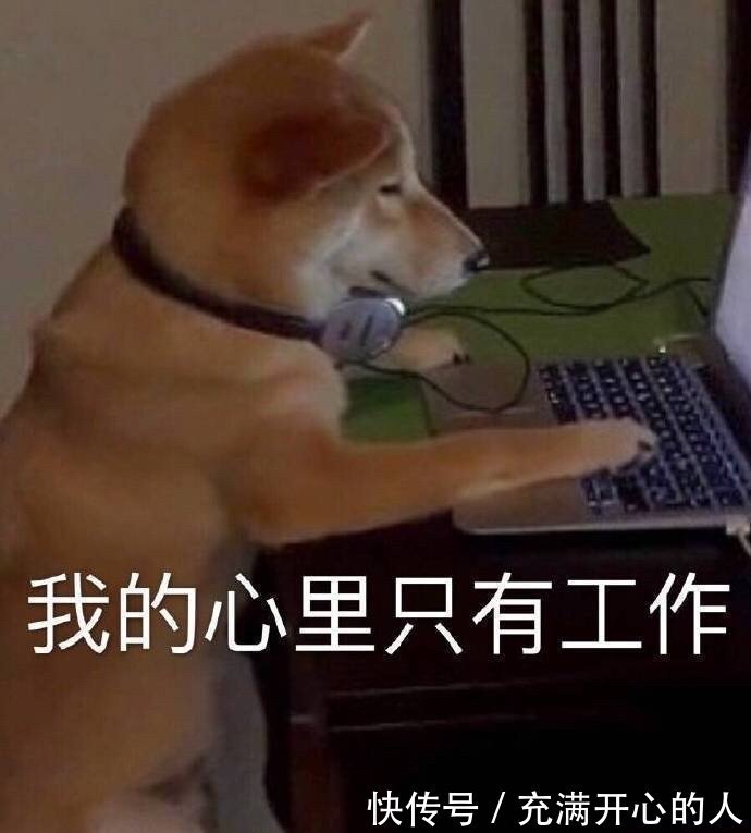 |搞笑表情包来啦