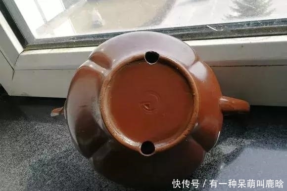 邻居捡破烂养花，全家都反对，栽上花后都笑了！