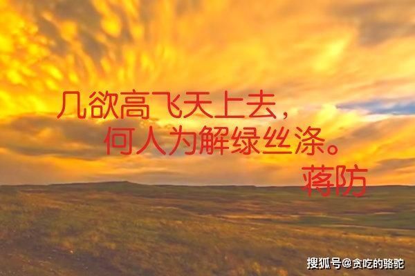 青史留名|一首赋抱得美人归,一首诗敲开了升迁路,一篇小说让他青史留名