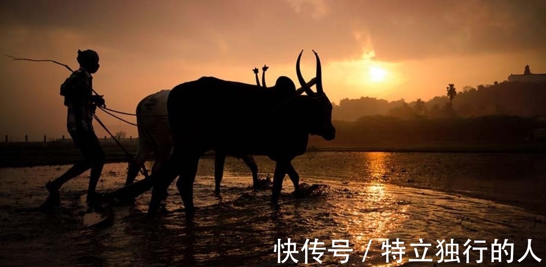 亚亚|生活处处有好诗,山西大妈原创诗词集,锤炼平凡之美,每首都惊艳