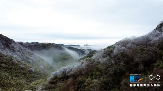 马天龙|无人机航拍下的金佛山：漫山雾凇如画