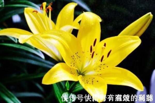 财运$时来运转的人,都有4个能力,具备其中一个就能“财运大发”!