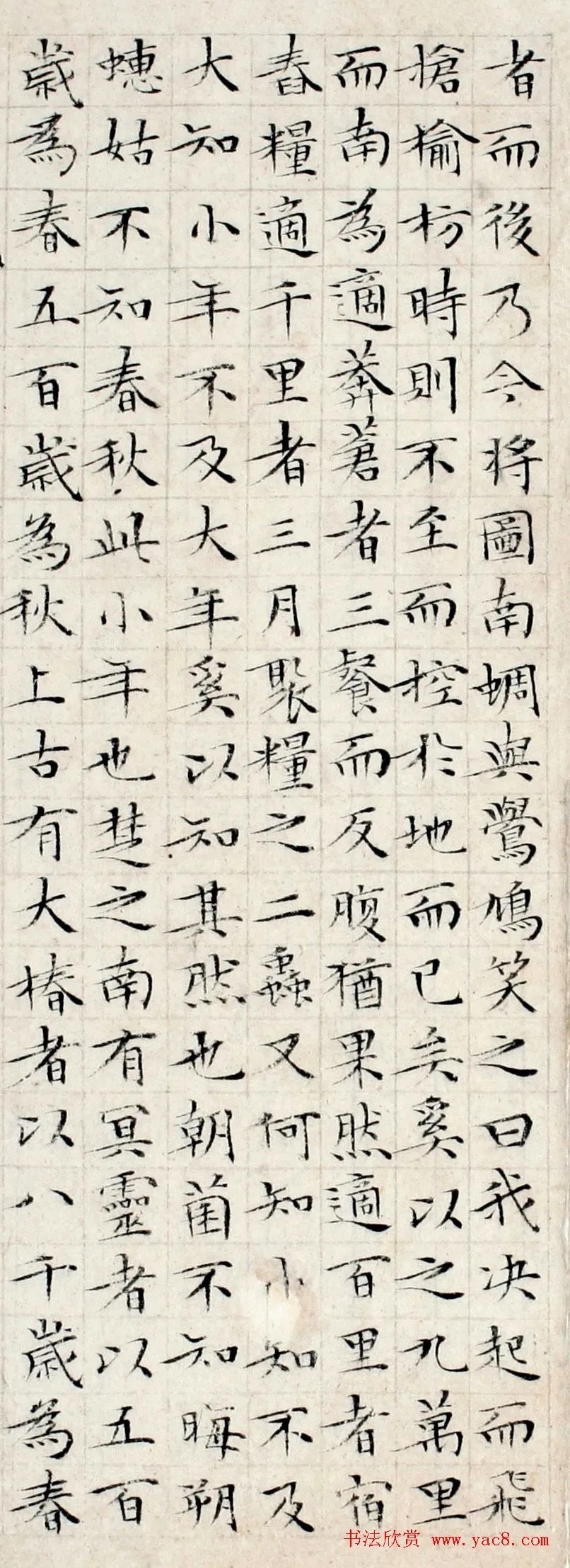 典雅|文徵明86岁小楷《逍遥游》刚健典雅!