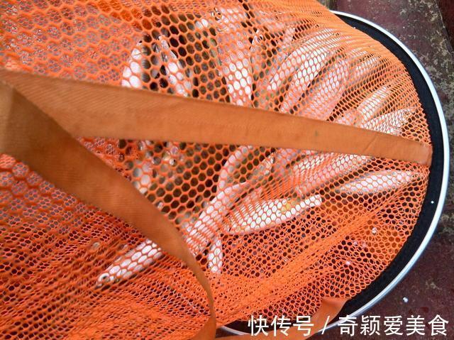 这个湖曾经是钓鱼人的天堂,但抵不过灭绝式垂钓,极难恢复