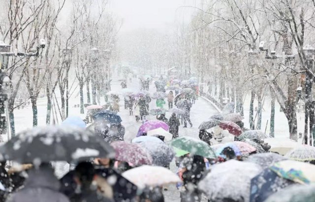 大部地区|被南方的鹅毛大雪刷屏！“断桥残雪”美呆，有人在雪里实现“冰墩墩”自由