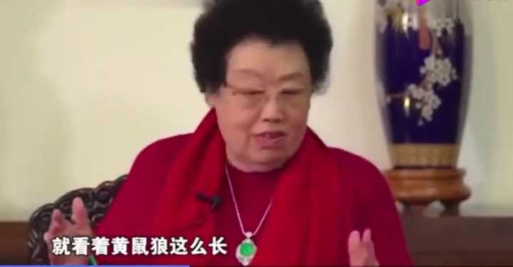 动物$黄鼠狼会给鸡“拜年”,月圆之夜还会拜月,真这么神奇?想多了