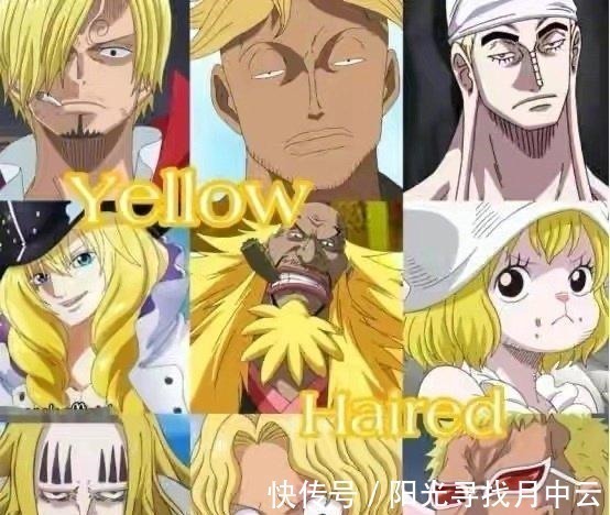 紫发|海贼王五种发色强者,紫发最弱,黑发排第二,白发最强