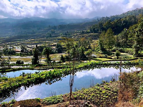 名气|游箐口梯田和哈尼族民俗村，品哈尼族美食，发现村民建房竟然可以不花钱