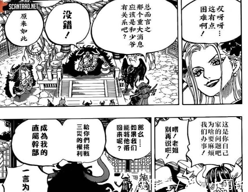 桑尼号|海贼王979话:凯多和大妈结盟,斯慕吉与大和联姻,这事成了