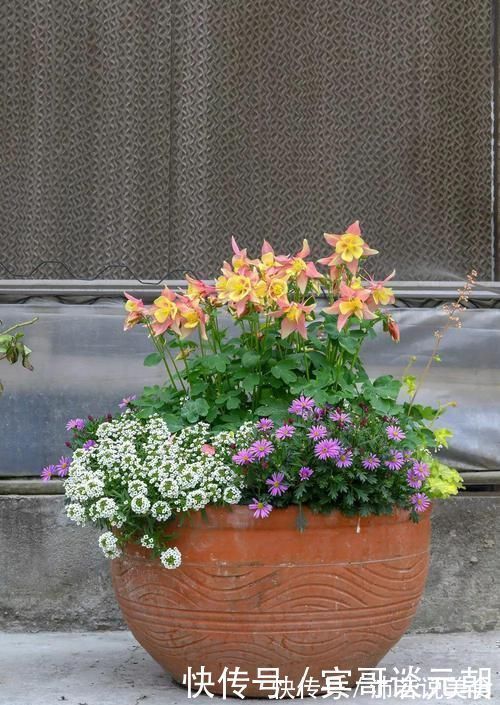 郁金香|7个绝美花园,个个美炸了天,等有钱了我也要建一个