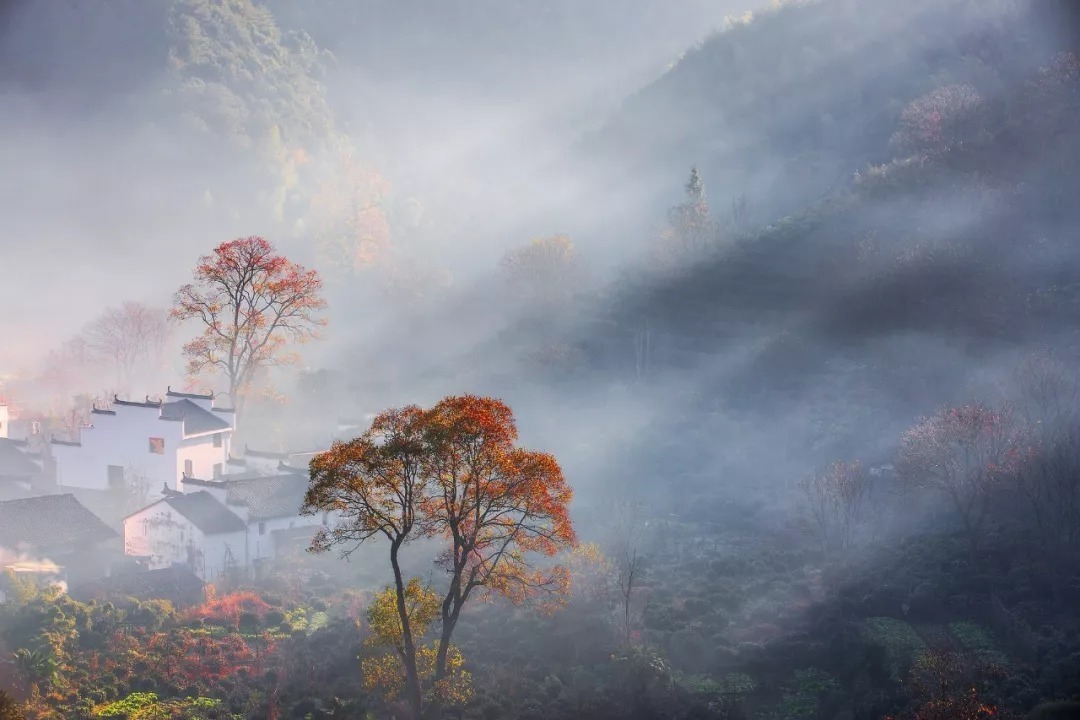 夕阳|细读十首刘长卿诗：日暮苍山远，天寒白屋贫