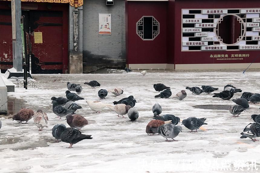 呼和浩特市|内蒙古呼和浩特市迎来初雪